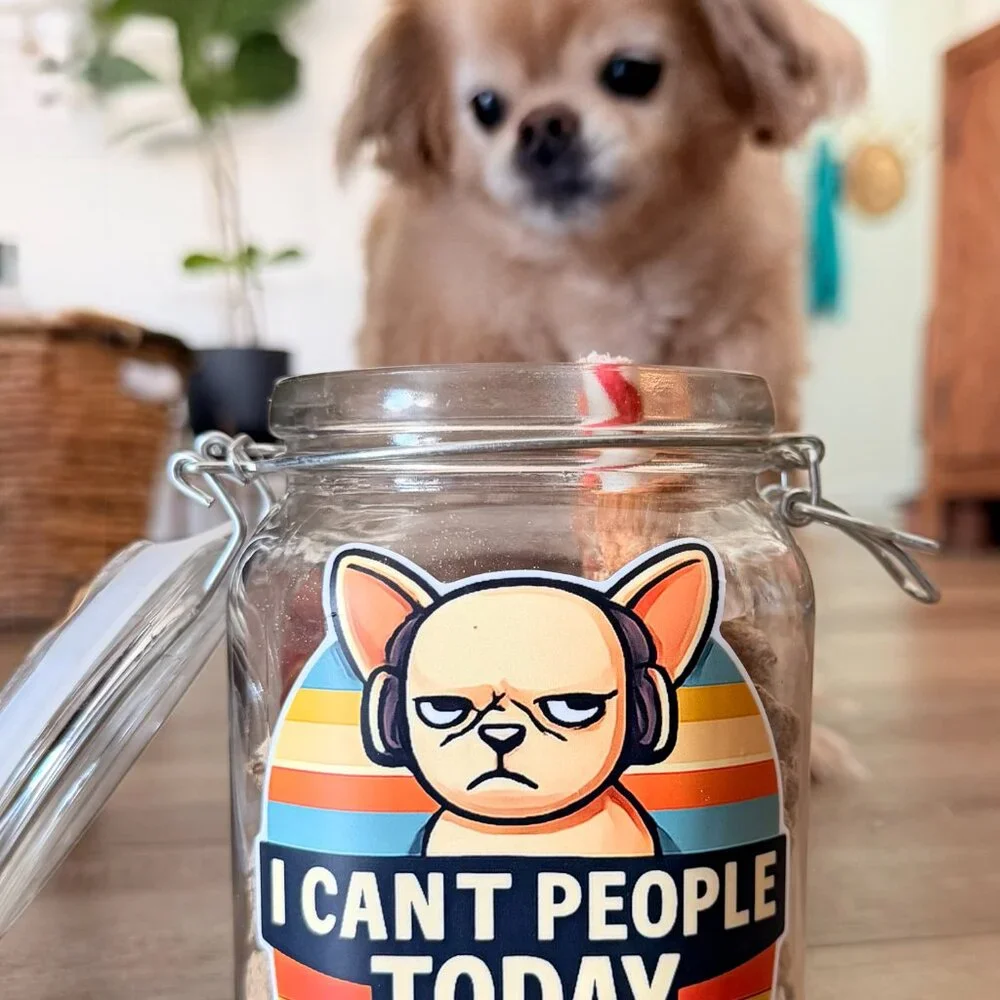 Funny Snack Jar – “I Can’t People Today” Glass Cookie Candy Pretzel Jar (38oz)